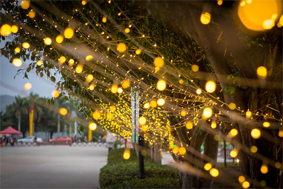The Rise of Decorative Bulbs: Illuminating Spaces with Style And Functionality