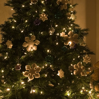 The Ultimate Guide To Decorative Bulbs for Unique Lighting