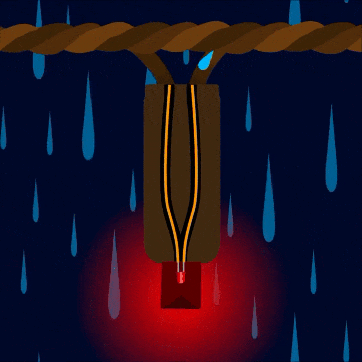EL-Animation-1