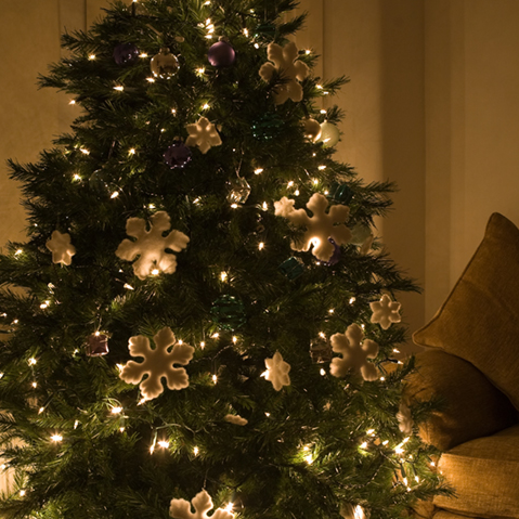 Illuminate Your Space with Decorative Bulbs